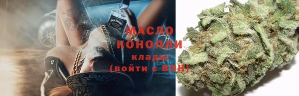 стафф Вяземский