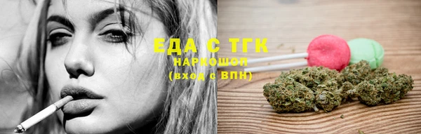 гидра Вязьма