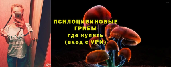гидра Вязьма