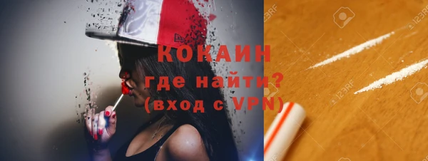 гидра Вязьма