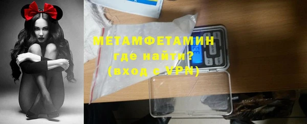 гидра Вязьма