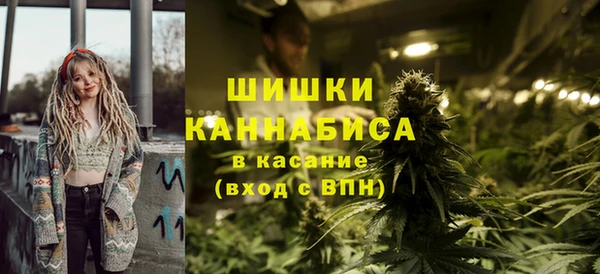 гидра Вязьма