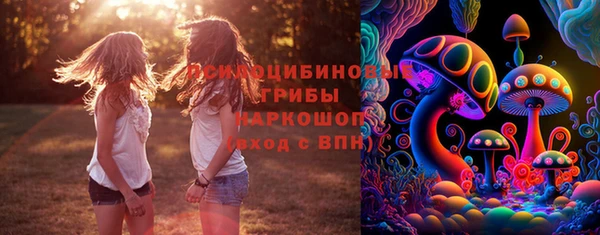 стафф Вяземский