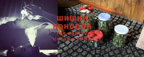 гидра Вязьма