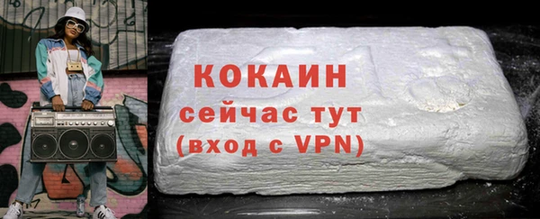 гидра Вязьма