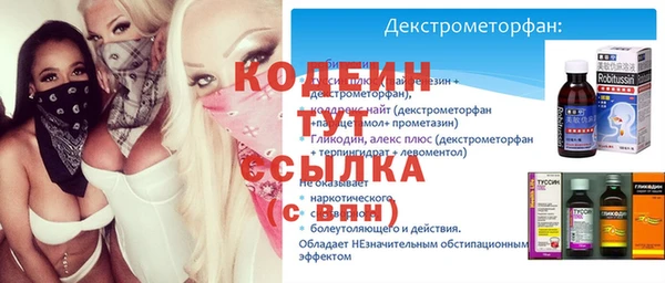 гидра Вязьма