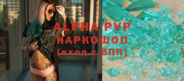 гидра Вязьма